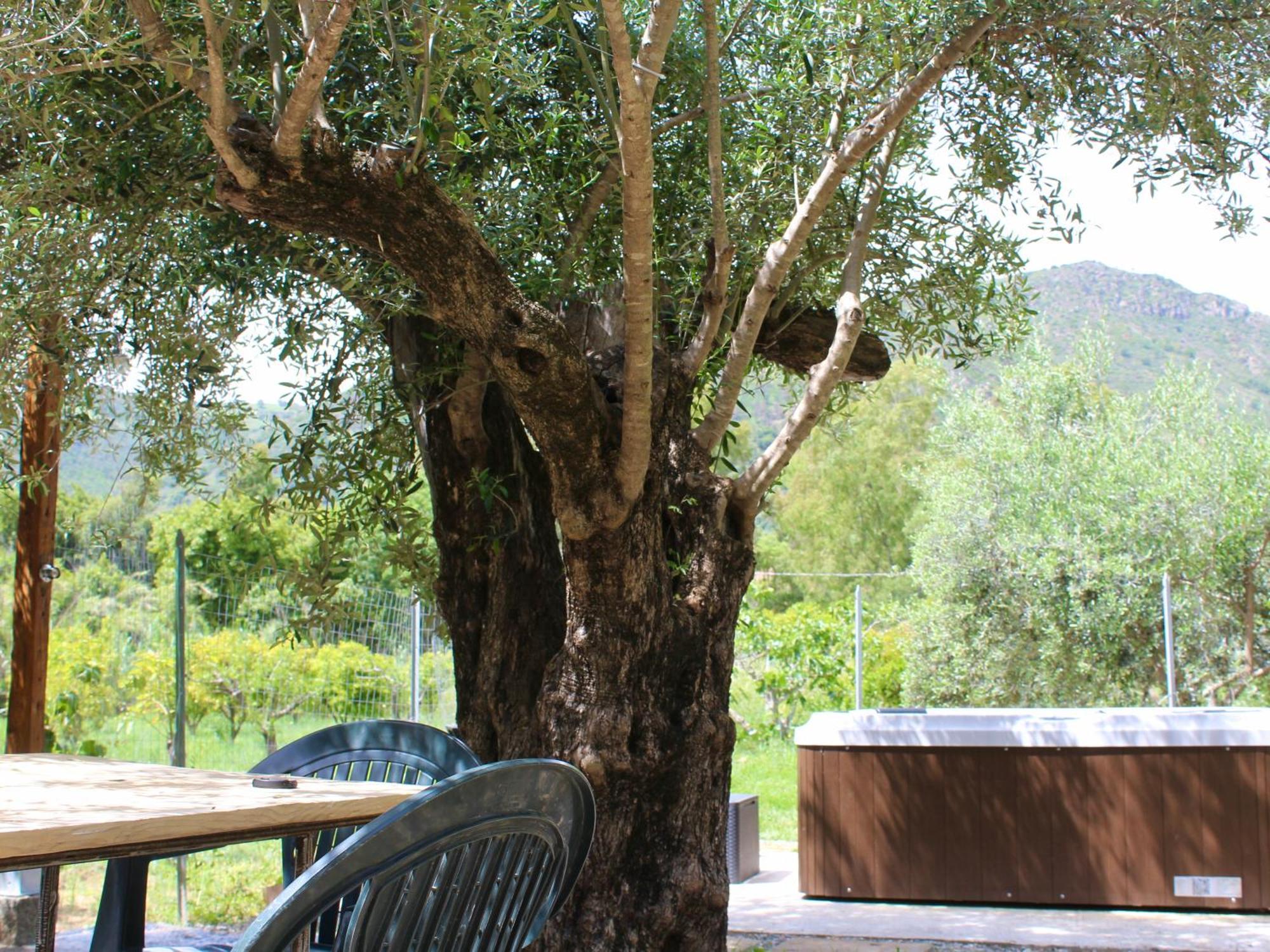 Villa Pelau - Holiday Home Jerzu Extérieur photo