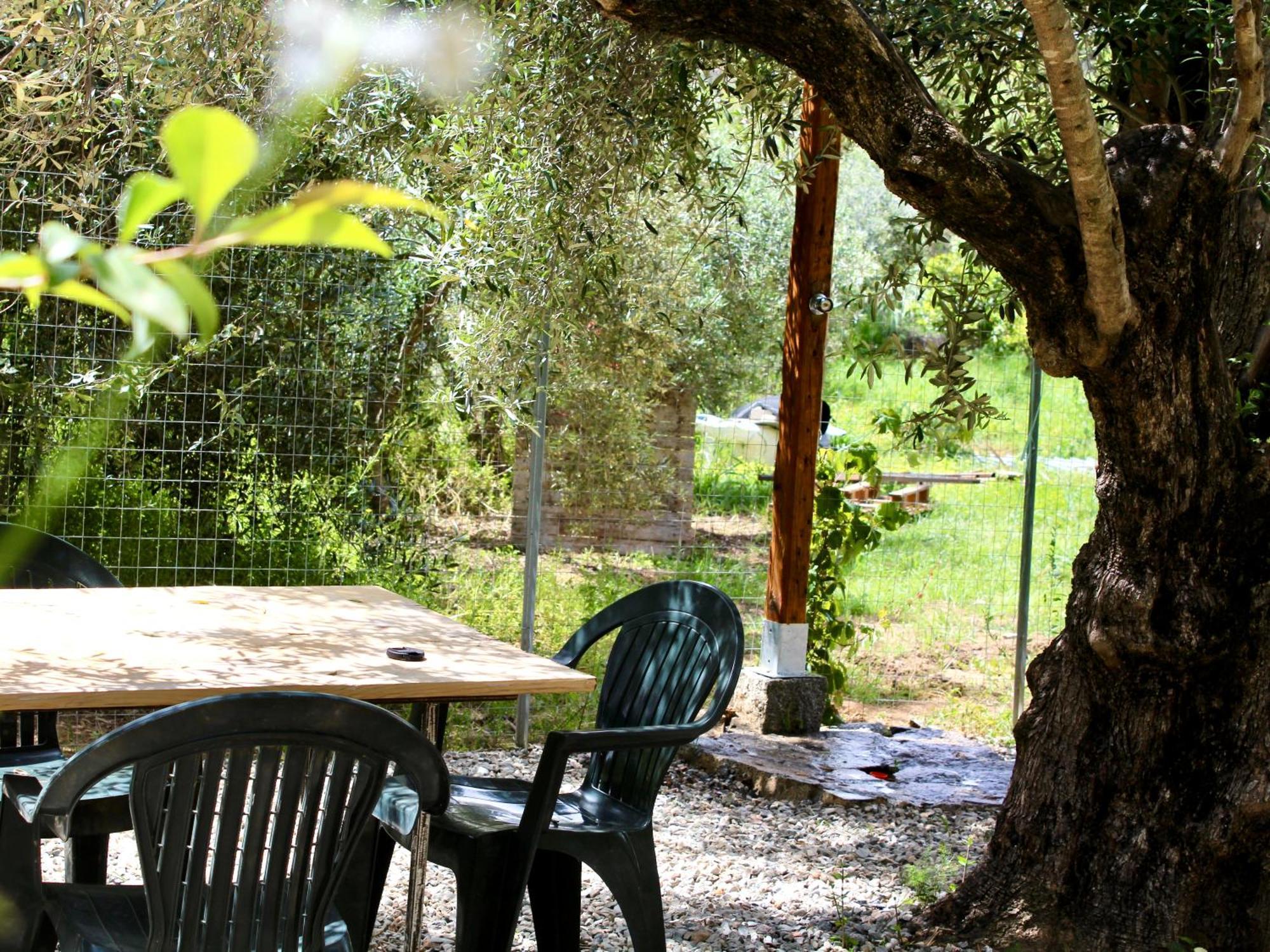 Villa Pelau - Holiday Home Jerzu Extérieur photo